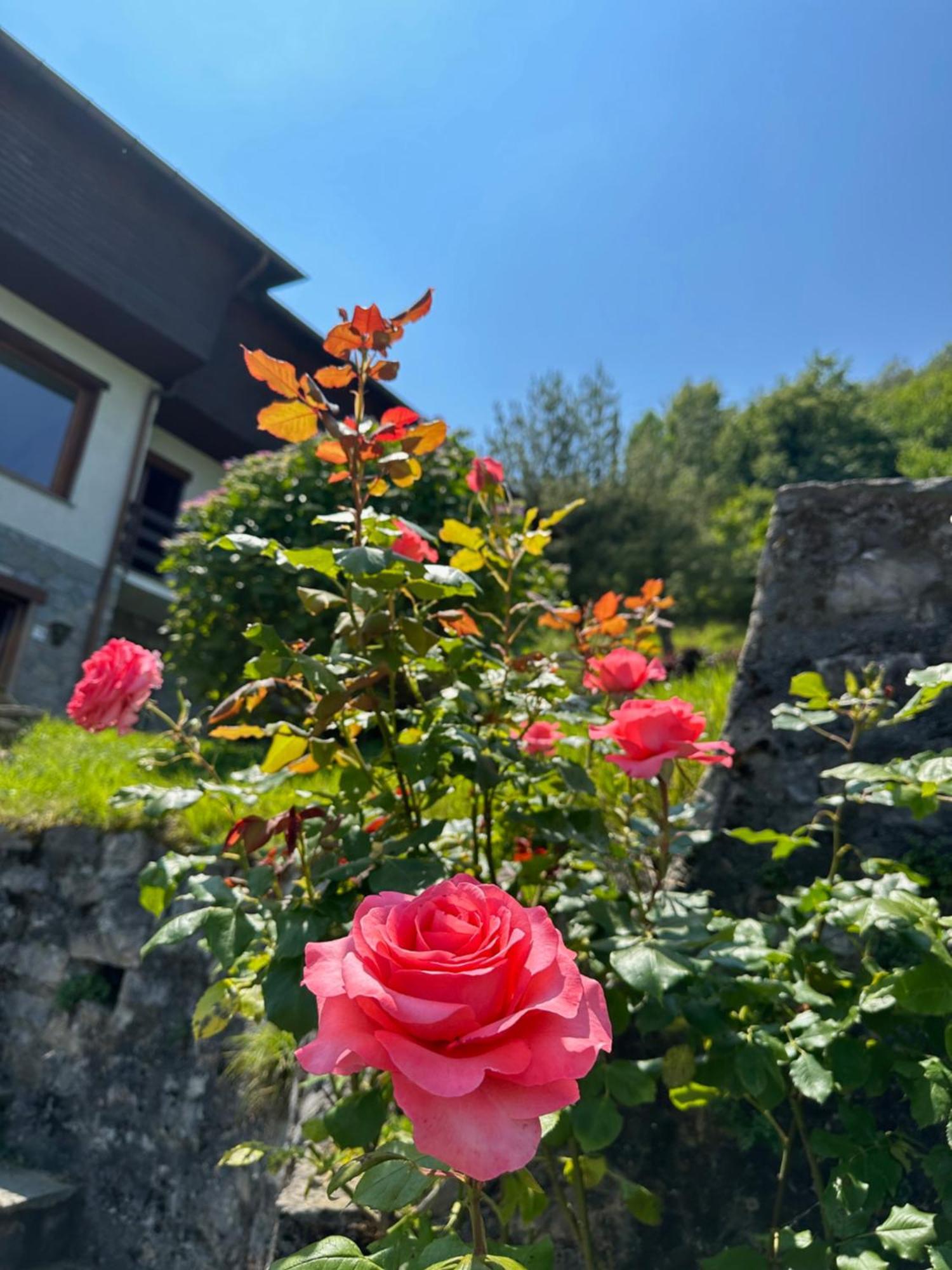 Villa D'Alba Guest House Civenna Zewnętrze zdjęcie